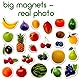 Magdum 25 Obst&BEEREN Foto Magnete Kinder für magnettafel - Magnet Spielzeug Kinder - Kühlschrankmagnete Kinder - Kühlschrank Magnete Set Kinder -Spielzeug ab 3 Jahre - Lernspiele ab 3 Jahre