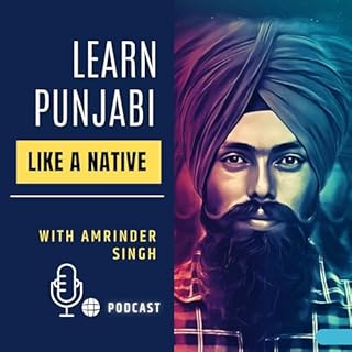 Learn Punjabi Like A Native cover art