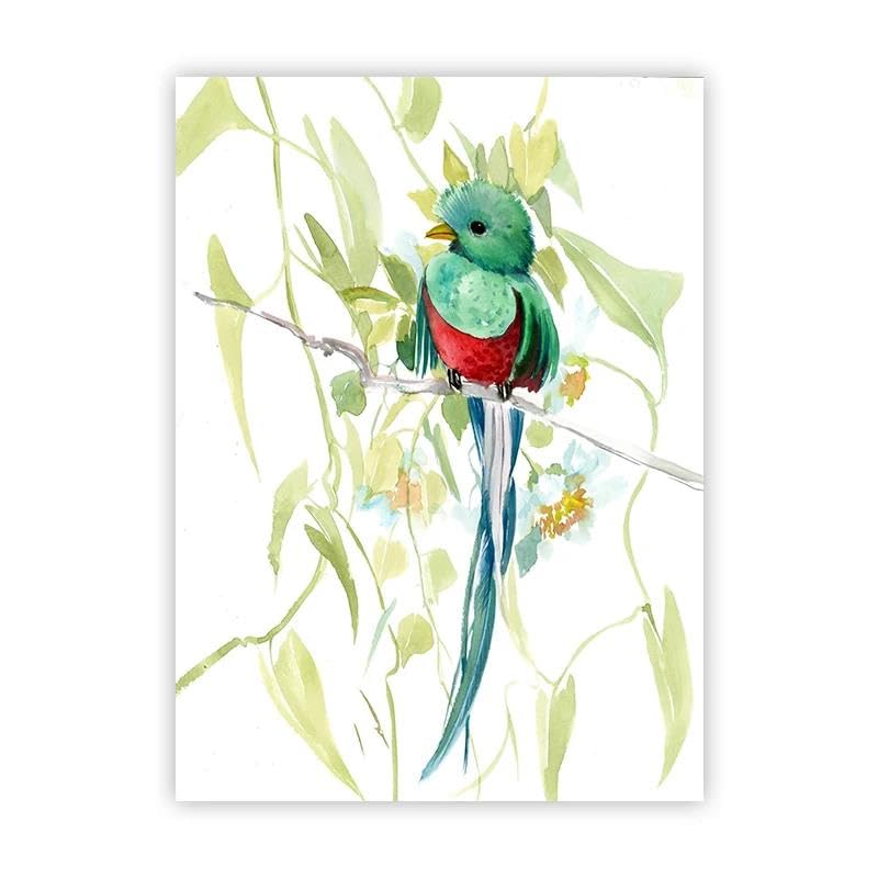 Toile oiseau tropical vert rouge 50x70cm, une ambiance jungle dans votre salon