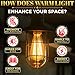 Incandescent Light Bulbs 60 Watt ST64 Style Amber & Dimmable - 4 Pack Edison Bulbs, E26 Base, 2200K Warm White, 210 Lumens, Vintage Exposed Filament, 2500 Hr Lifespan, for Indoor & Outdoor Use