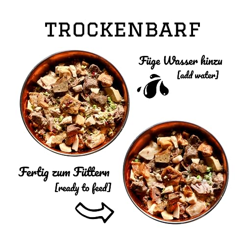 PAMICO Trockenbarf All in One Sensitive mit Huhn, Lamm, Fisch, Zucchini, Gurke und Brombeere 500g - 100% gefriergetrocknet, Barf Hundefutter ohne Zusätze getreidefrei