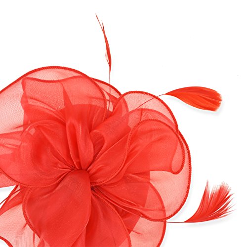 Image of DRESHOW Fascinators Hat Tea Party Headwear Ribbons Feathers on a Headband and a Clip for Women