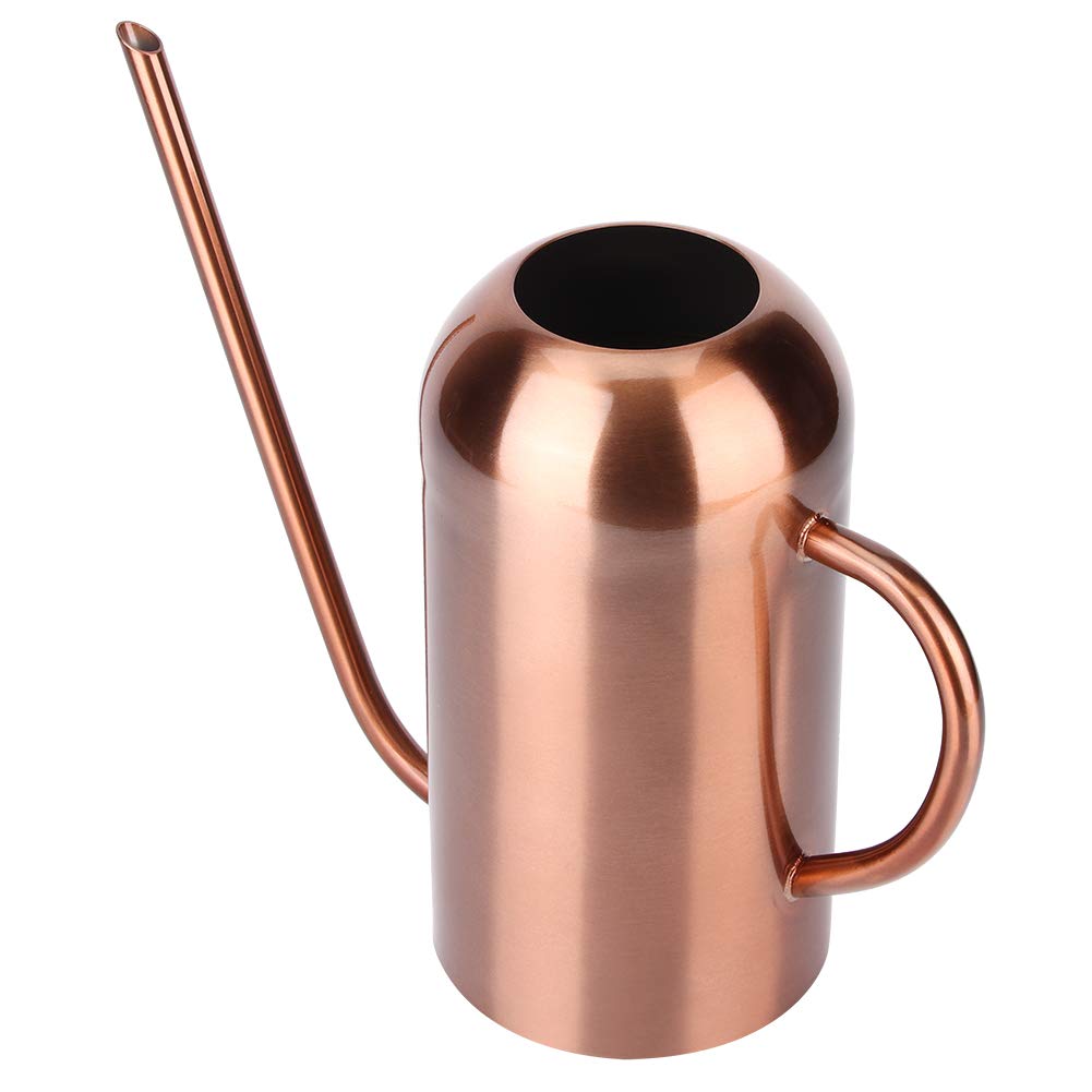 Regadera de Acero Inoxidable de 1.5L, Regadera Retro de Boca Larga para Plantas Suculentas Herramienta de Jardín para Flores y Plantas de Interior y Exterior