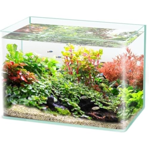 XNGA KXe KX{g MumuElf fXNgbv rOANAXP[vGR^NGR^NGR^NKX (60x30x35CM)