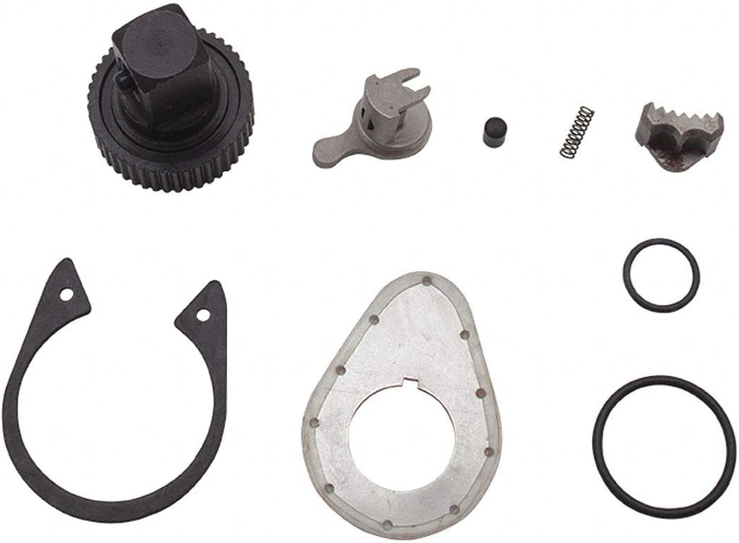 Ratchet Repair Kit, 3/8 in. Dr