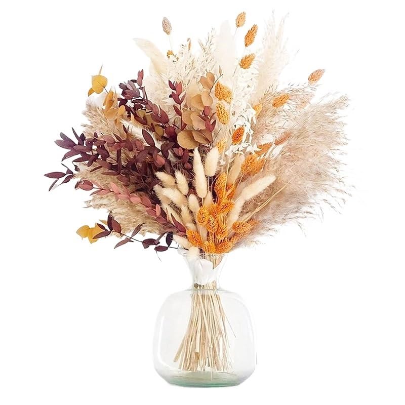 Ramo de Pasto Pampas Seco Boho Decor 100 varas miniatura 1