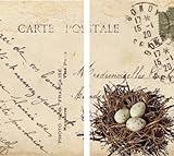 HomArt Large Decorative Post and Quill Nest Matches