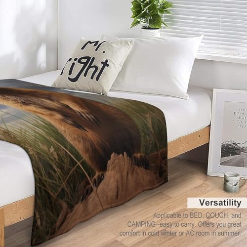 Manta de forro polar de marmota para sofá cama 180x200 cm 6