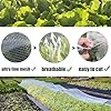 Garden Mesh Netting Kit – 10x33 FT Ultra Fine Mesh With 6 Hoops & Clips, For Raised Beds, Plant Protection From Insects & Birds