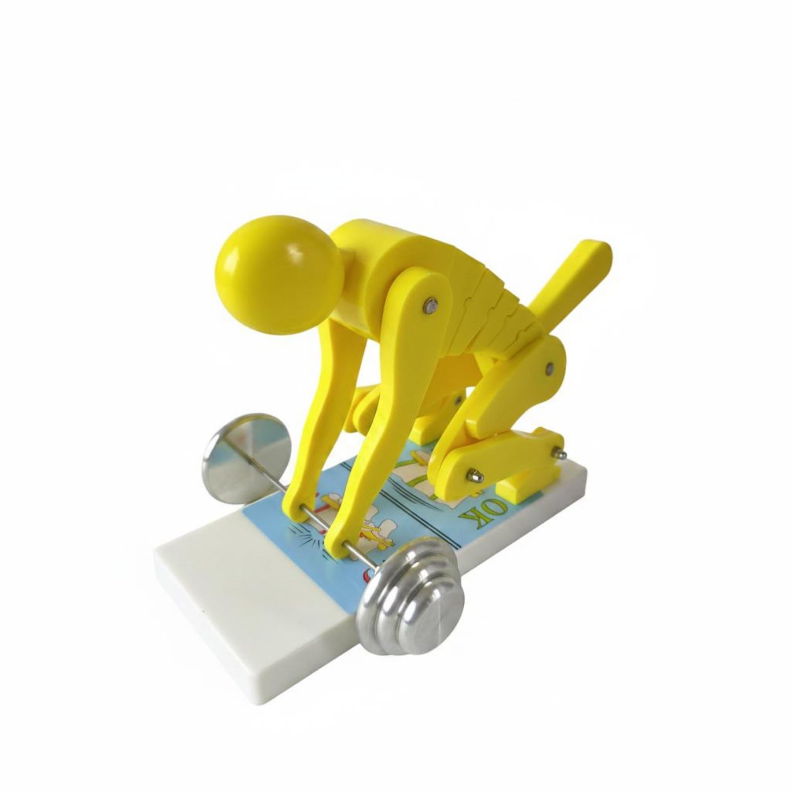 Spine Modello Schiena Didattico Struttura Corporea Supporto Dimostrazione Posturale Adatto per Classe Allenamento Forma Corpo, Giallo