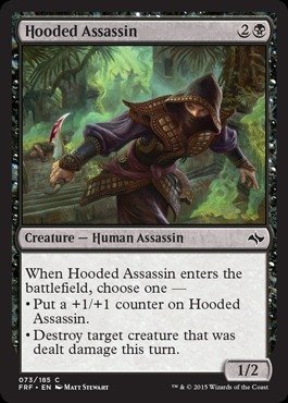 Magic The Gathering - Hooded Assassin (073/185) - Fate Reforged -  Wizards of the Coast