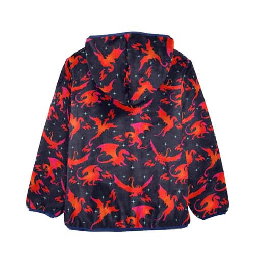 Boys' Fleece Hoody Jacket Zip Up Coat Warm Fall Winter Plush Jacket Fiery Dragon Long Sleeve Outerwear2