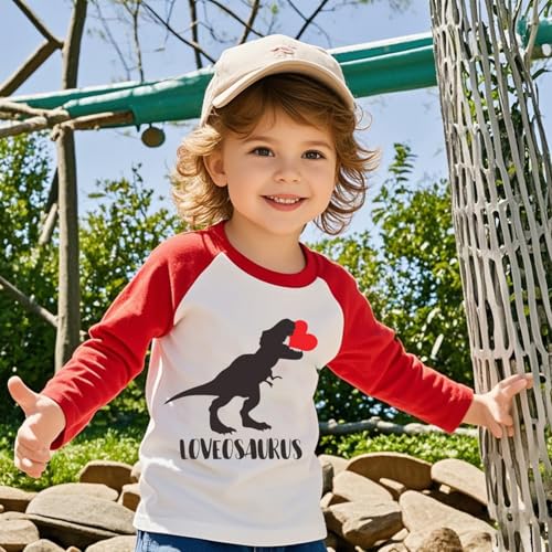 Boys Girls Valentines Shirt Toddler Love Heart Monster Truck Dinosaur Graphic Long Sleeve Raglan Little Kids Top 2-7T3