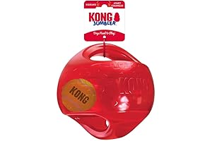 Kong Bouncer, the Joyful and Engaging Dog Toy for a Dynamic Playtime