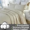 Brandream Beige Palm Quilt Set Queen Size Cotton Matelasse Tropical Palm Bedding Lightweight Bedspreads 3-Piece #2