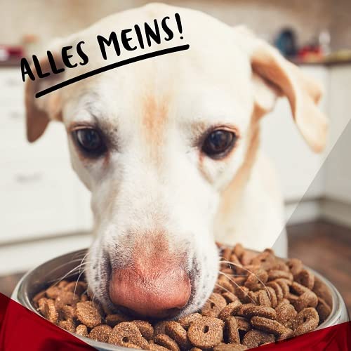 Fackelmann Tierfutternapf CAT&DOG, Futternapf aus Edelstahl, Fressnapf mit Anti-Rutsch-Fläche (Farbe: Silber), Menge: 1 Stück