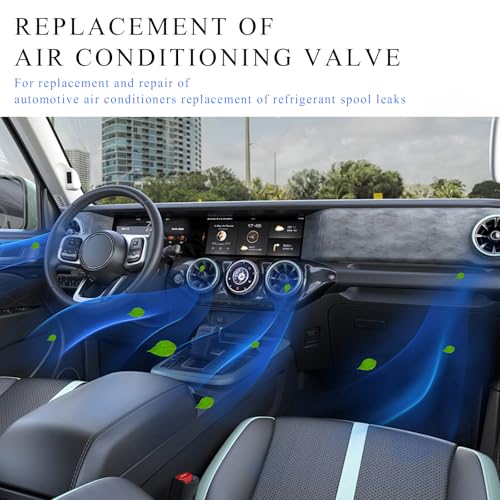 View 5