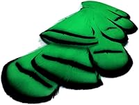 Vista 1 de Green Lady Amherst - Plumas artesanales de faisán, 1 docena
