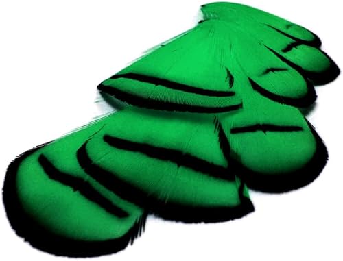 Green Lady Amherst - Plumas artesanales de faisán, 1 docena