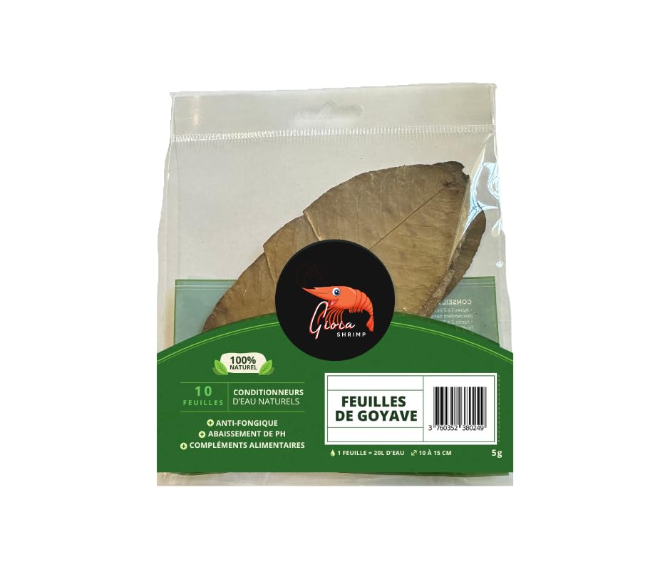 Gioia SHRIMP - Hoja de guayaba (10 unidades, acondicionador de agua natural/para peces y camarones de acuario