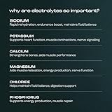 Virtue Zero Sugar Hydration Electrolytes - Pink Candy Floss (16 Pack) Limited Edition - Image 6