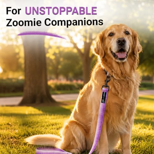 Image of Bowlers Dog Leash for Small, Medium & Large Dogs | Violet & White Design | Durable Nylon Pet Walking Lead | Strong Metal Hook | Comfortable Grip for Daily Walks & Training