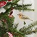 Hallmark 795QXM8532 Miniature Beauty of Birds Cedar Waxwing Keepsake Christmas Ornaments