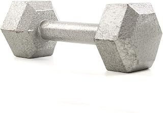 Absport Hexagonal Steel Dumbbell