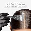 Madison Reed Root Perfection Root Touch Up Kit 6G Dervio Medium Golden Brown, 100% Gray Coverage in 10 Min, Ammonia-Free, 2 Applications