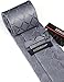 HISDERN Mens Ties for Men Grey Plaid Tie Handkerchief Classic Men's Tie with Pocket Square Set Formal Necktie Silver Gray Wedding Business Ties Set