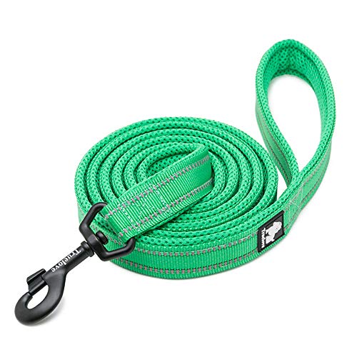 Collier et laisse pour chien en nylon vert réfléchissant pour vos balades en forêt