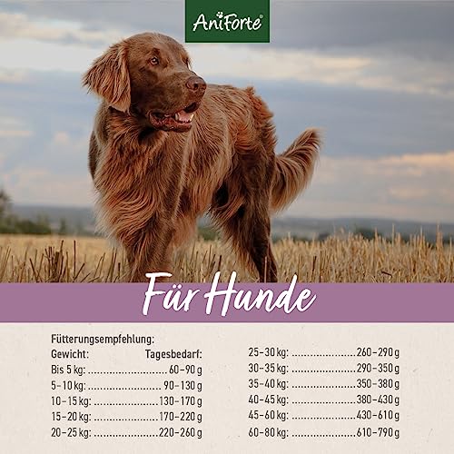 AniForte Ente Trockenfutter für Hunde 7kg – Leckere Ente mit Hirse, Süßkartoffeln & Kräutern, Vitamine für Hunde, Halbfeuchtes Trockenfutter, Hundefutter trocken glutenfrei für Allergiker