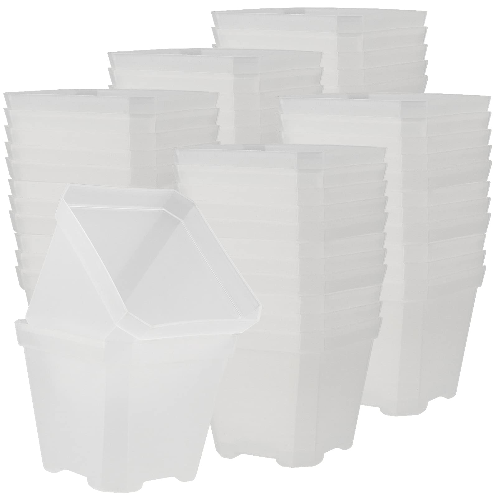 Buy JOIKIT 60 Pack 4 Inch Clear Square Nursery Pot, Plastic Square