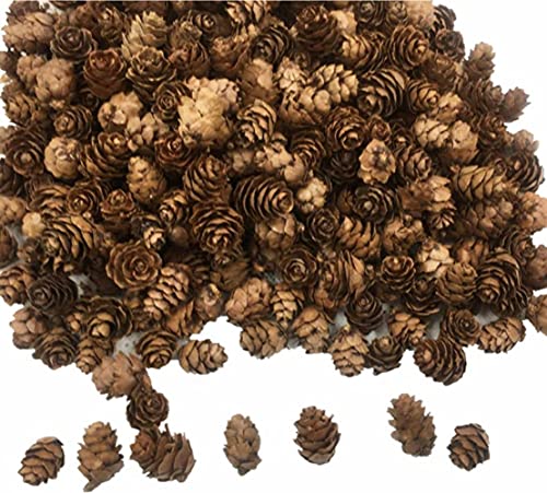 300 PCS Mini Pine Cones Christmas Pine Cones Ornaments for Thangksgiving Christmas Autumn Home Decorations DIY Crafts and Gifts