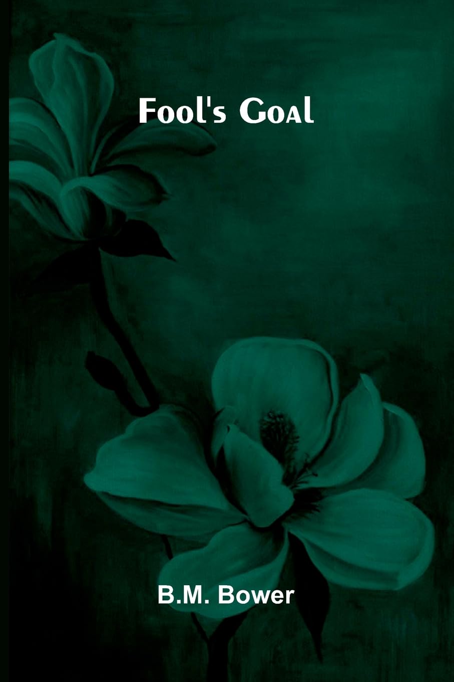 The Magic House, and Other Poems (Edition1)