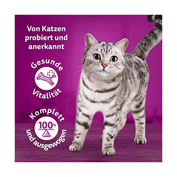 Whiskas Adult 1+ Katzennassfutter Tasty Duo Surf & Turf in Gelee, 84 Portionsbeutel, 84x85g (1 Großpackung) – Hochwertiges Katzenfutter nass, für ausgewachsene Katzen – Bild 3