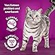 WHISKAS 1+ Katzenfutter nass - ab 1 Jahr - 40x85g Portionsbeutel - Katzennassfutter in Sauce – Hochwertiges Nassfutter für Katzen - Großpackung