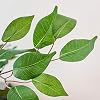 Product Photo 6