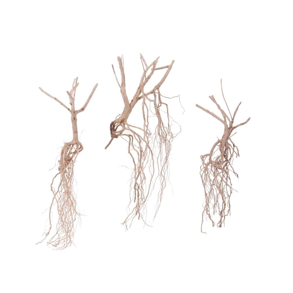 AquaOne Steppen radice n. 8537 - Decorazione per acquario, radice in legno, decorazione per acquario, decorazione per paesaggio, Moorkien Moorkien Redwood Mangrove muschio naturale