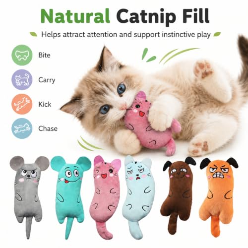 Juguetes de hierba gatera para gatos de interior peluche masticable interactivo para gatitos 6