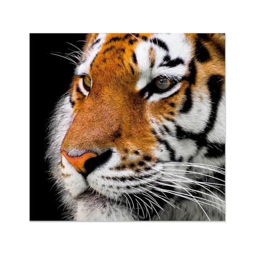 Tableau décoration murale tigre noir et blanc impression toile 60x60