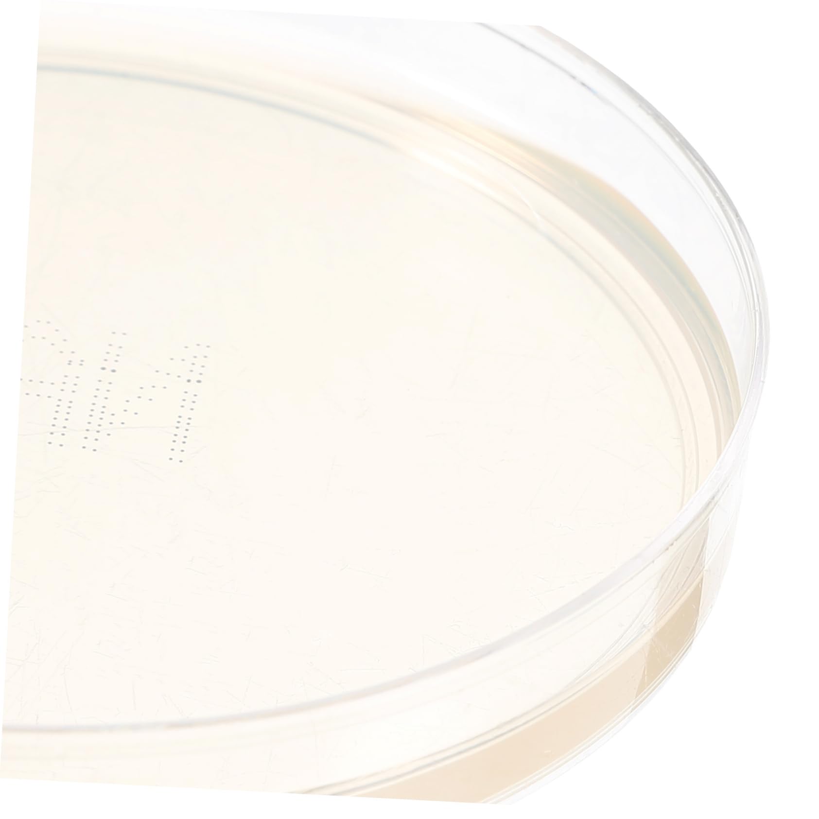 Plaques De Gélose Pré-Coulées Boîtes De Pétri Pour Laboratoire 10 Pièces Pour Stockage De Cultures Isolement De Cultures Pures Expériences À Domicile Et Projets Scientifiques