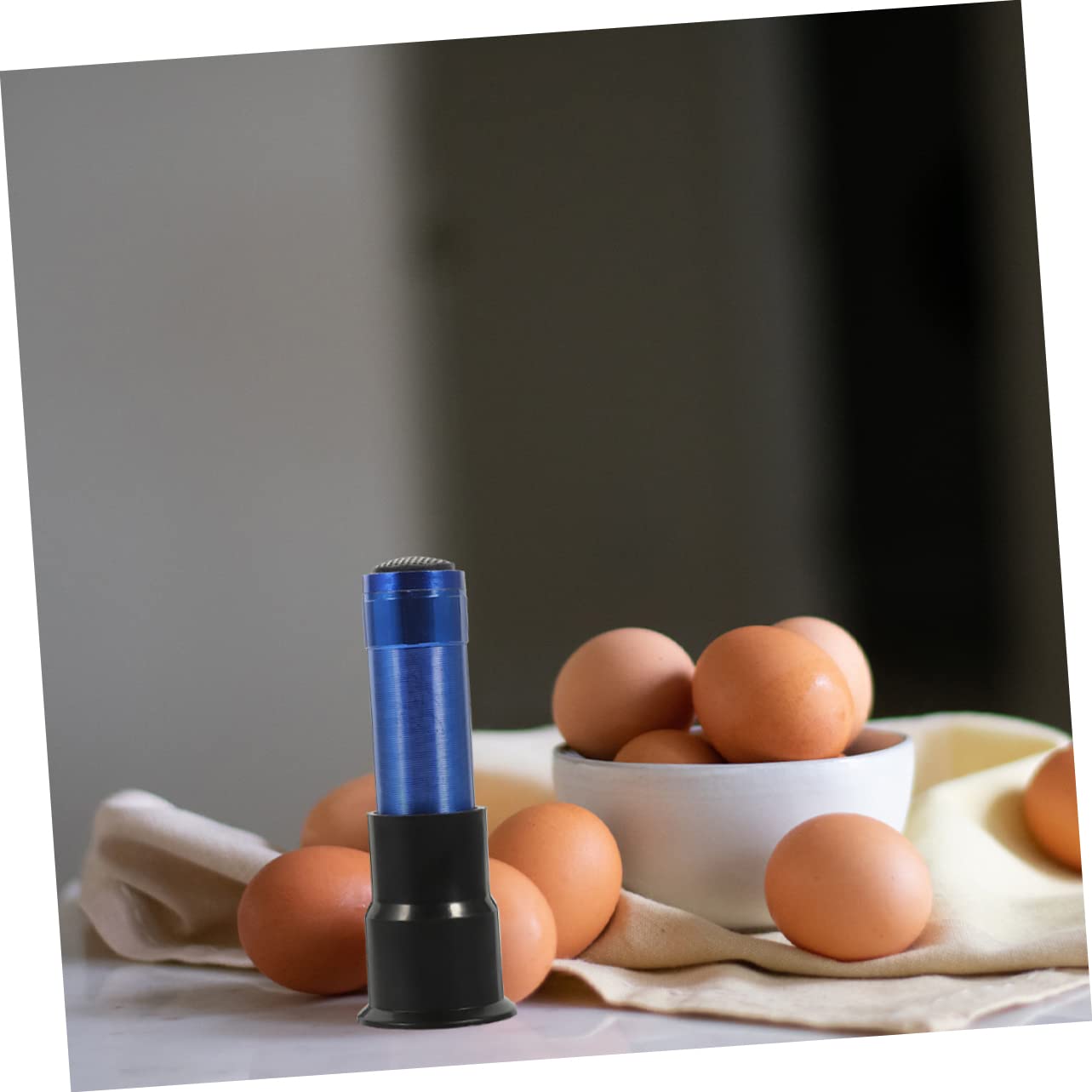 Filfeel Lampe De Mirage D'Oeuf, Lumière D'Oeuf, Testeur De Surveillance D' Oeuf De Poule A Mené L'Inspection De Lampe De Mirage D'Incubateur Nous Plug 100-240V