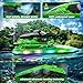 JOI MEW RC Boat with LED Lights for Kids, 2.4Ghz Remote Control Racing Boats for 8-12,Toy Water Boat for Pools & Lakes with Waterproof,Rechargeable Battery, for Boys Girls Green