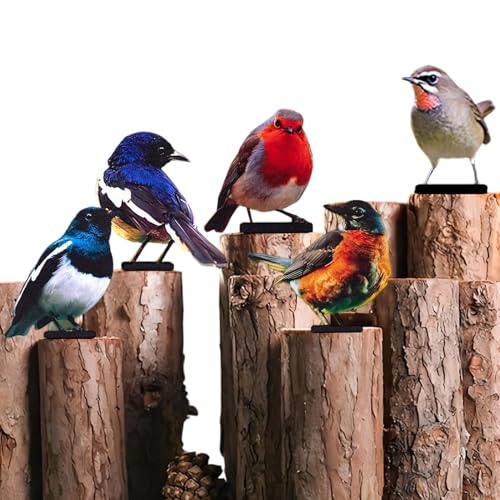 Décoration de clôture oiseaux pour masquer un mur triste de terrasse