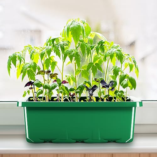 10-Pack Seed Trays Seedling Starter Tray, MIXC Humidity Adjustable Plant Starter Kit with Dome and Base Greenhouse Grow Trays Mini Propagator for Seeds Growing Starting (12 Cells per Tray), 10 Pieces