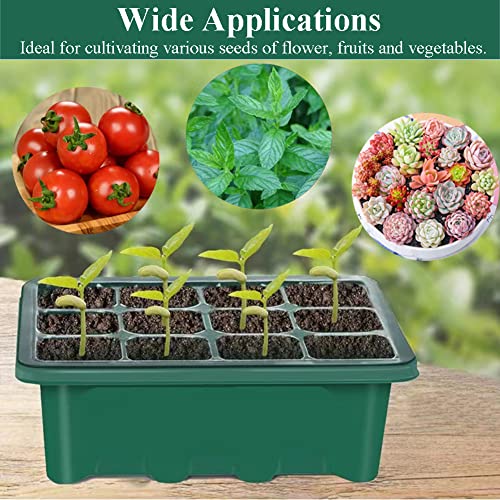 YOOAEFRTY Kits de mudas para iniciantes de sementes, conjunto de 5 unidades de propagador de jardim