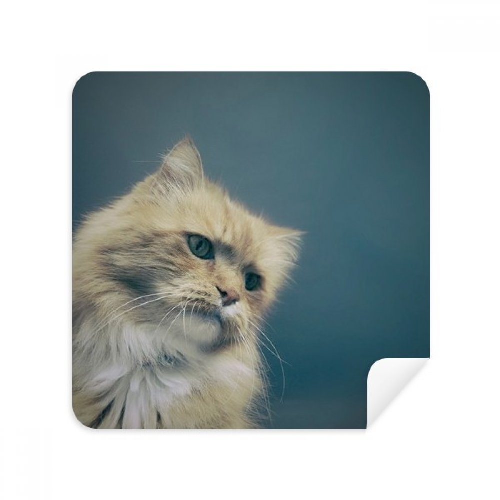 Chiffon écran de téléphone en daim chat bleu - Lot de 2 essuie-microfibres doux