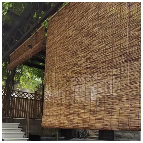 MObyat ʋC VÂ  VR | g | Ă~߂ ̃J[e 50 60 75 80 88 90 100 110 120 135 150 175 180cm vCoV[ی O ǂ̑ (Size : 1