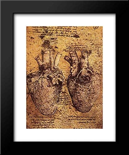ArtDirect Drawing Of The Heart And Its Blood Vessels, From The Anatomical Notebooks 20x24 Framed Art Print by Leonardo da Vinci